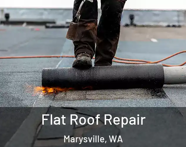  Flat Roof Repair Marysville, WA