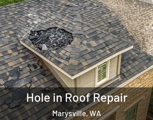  Hole in Roof Repair Marysville, WA