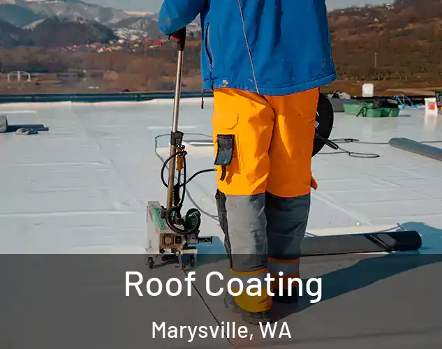  Roof Coating Marysville, WA