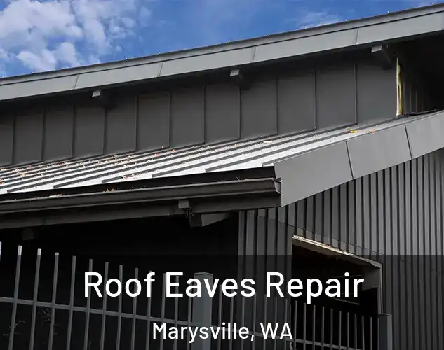  Roof Eaves Repair Marysville, WA
