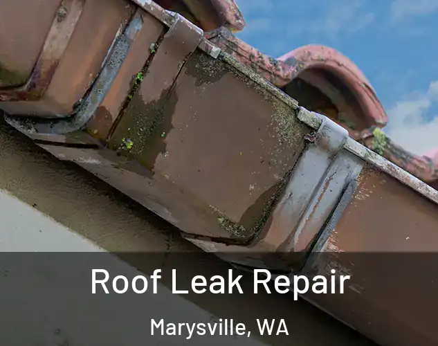  Roof Leak Repair Marysville, WA