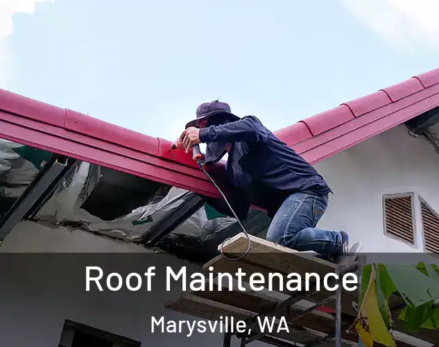  Roof Maintenance Marysville, WA