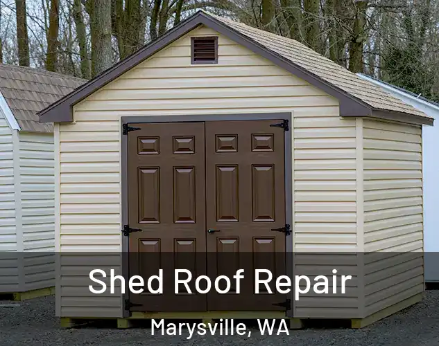  Shed Roof Repair Marysville, WA