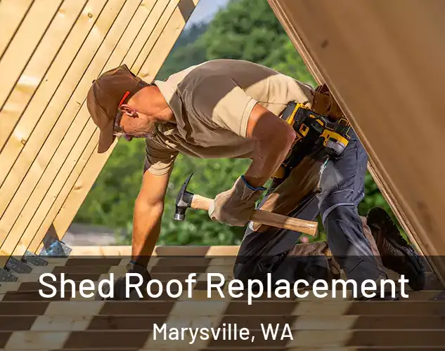  Shed Roof Replacement Marysville, WA